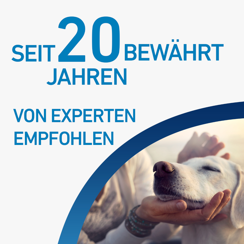 FRONTLINE SPOT-ON für Hunde L (20-40 kg) gegen Zecken, Flöhe und Haarlinge 6 St Lösung
