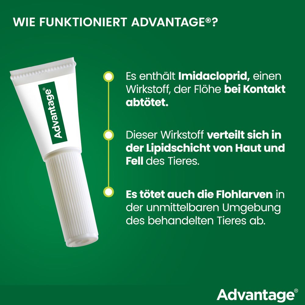 ADVANTAGE 400 HUND PIPETTE 1X4 St Lösung