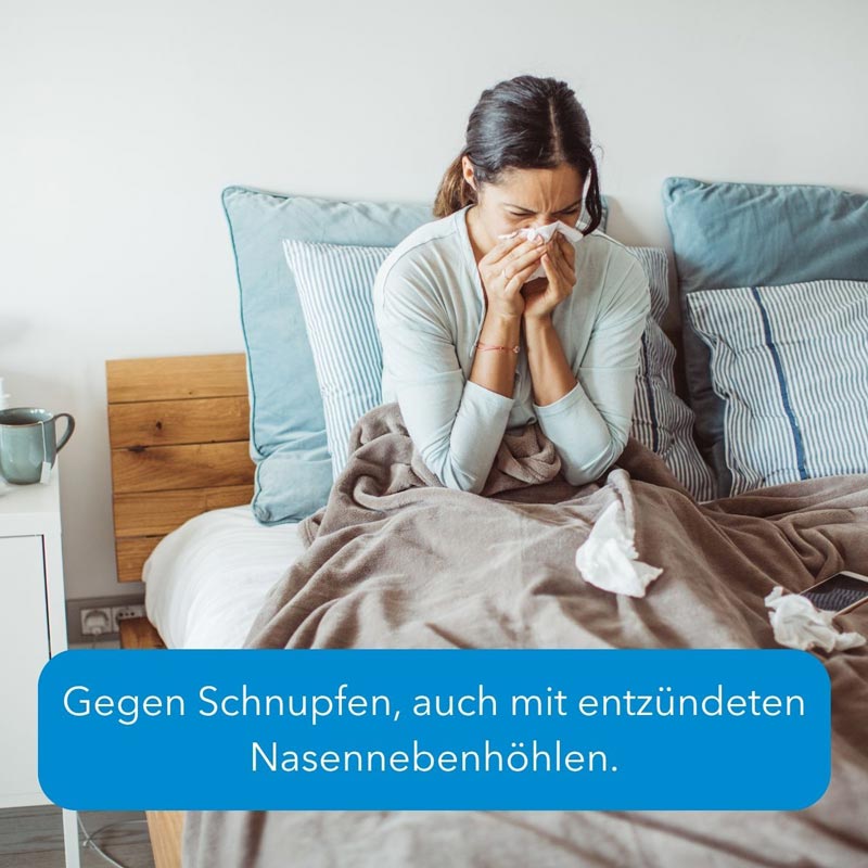 NASO HEEL SNT Tropfen 100 ml Tropfen