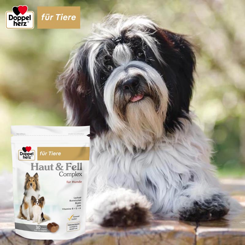 Doppelherz Haut & Fell Complex für Hunde 30 St Kautabletten
