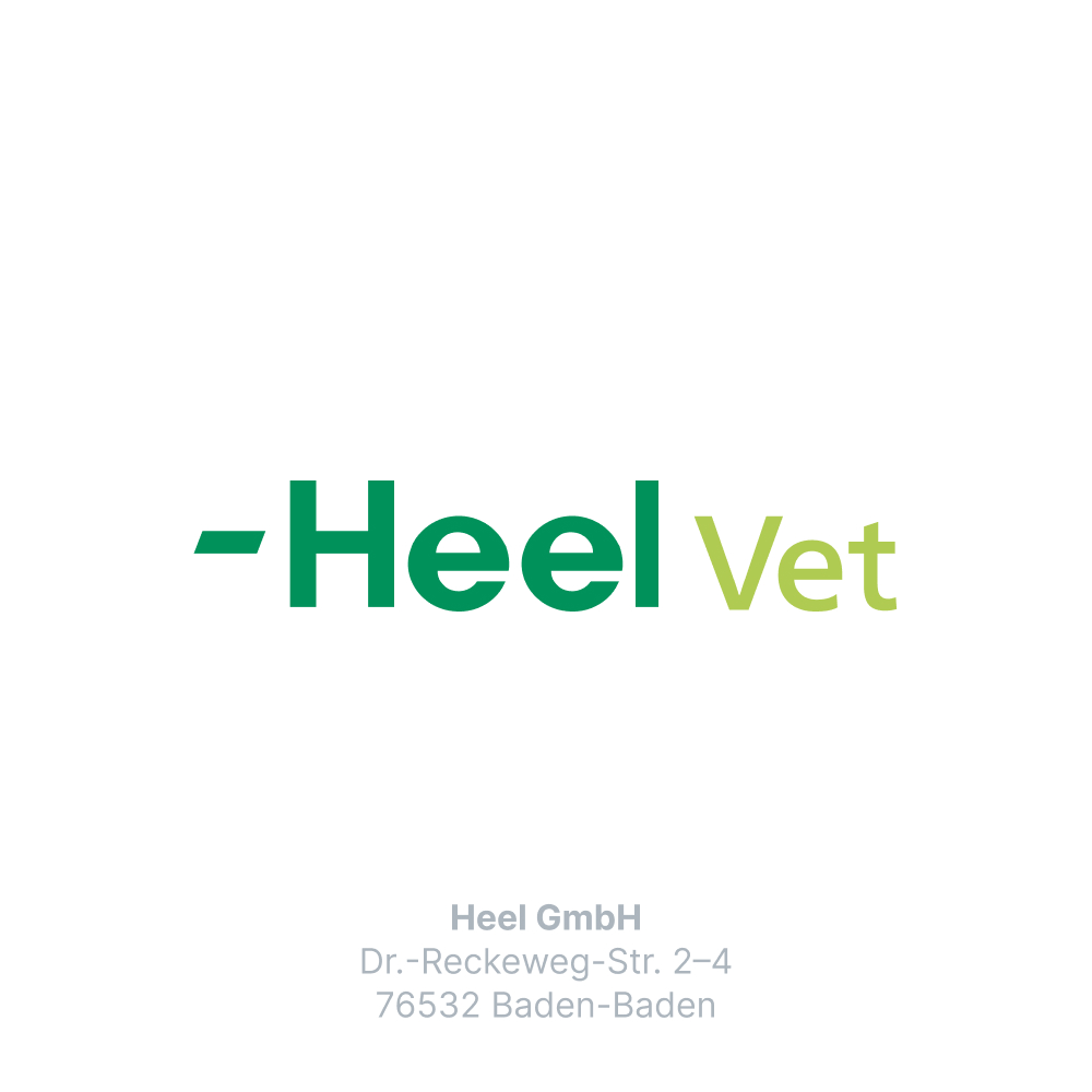 Sascupreel ad us.vet. 100 St Tabletten