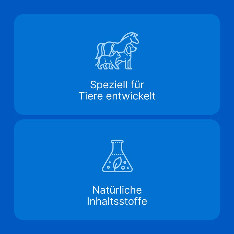 Traumeel LT ad us. vet. 100X5 ml Ampullen