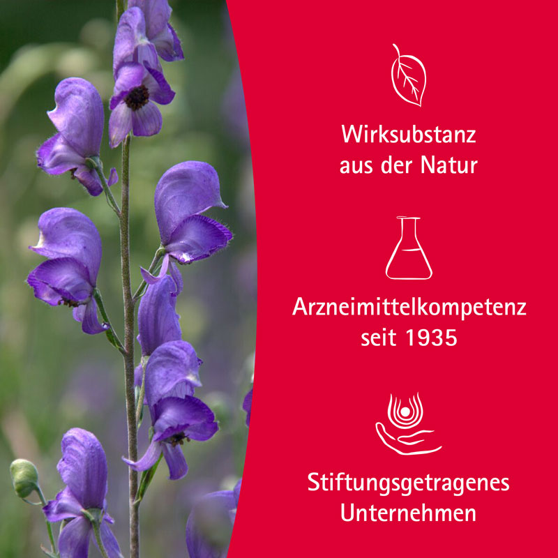 WALA Aconit Schmerzöl 100 ml Öl