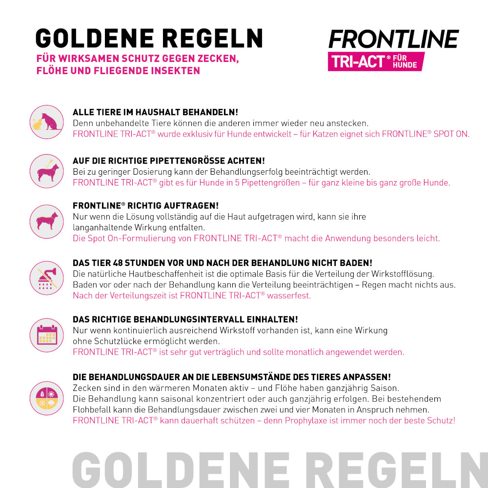 FRONTLINE TRI-ACT gegen Zecken, Flöhe & fliegende Insekten für Hunde L (20-40 kg)  3 St Lösung