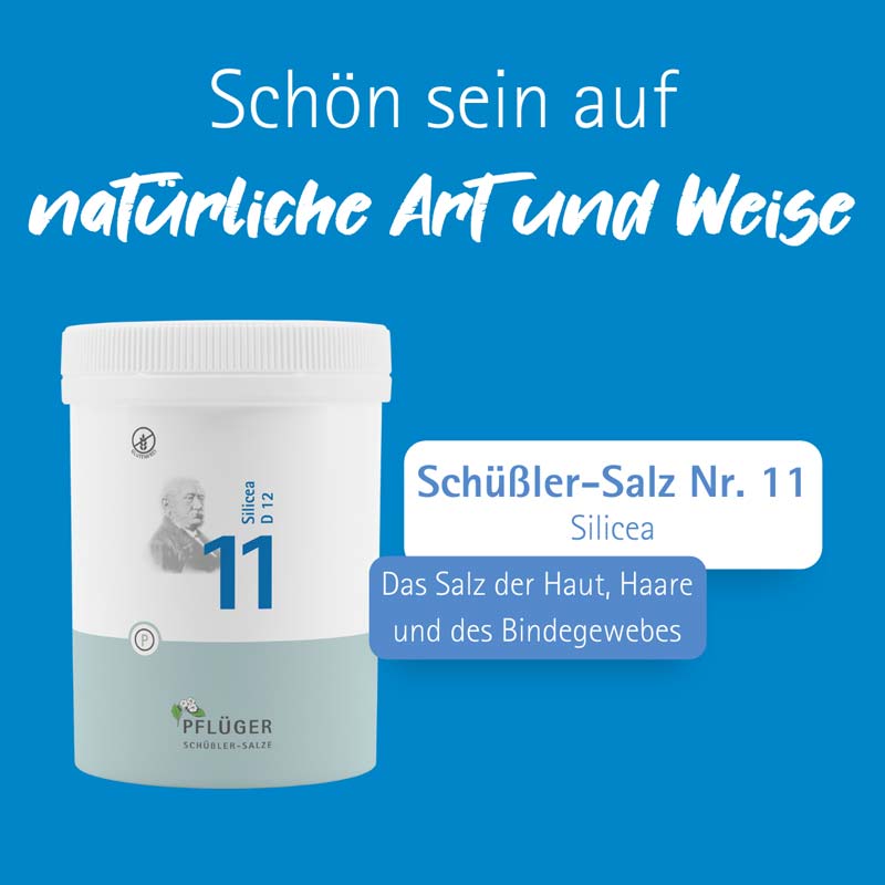 Schüßler-Salz Nr. 11 Silicea D12 1000 St Tabletten