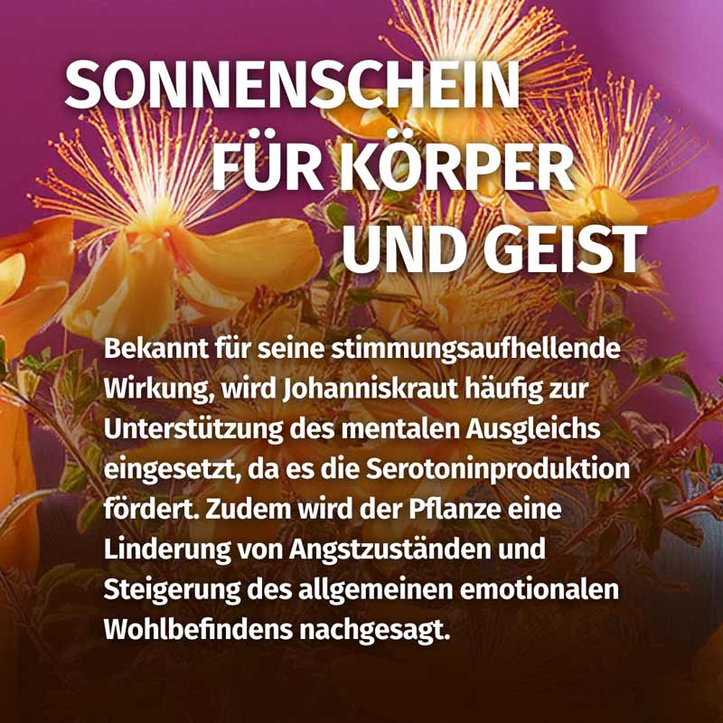 GREEN NATURALS JOHANNISKRAUT 180 St Kapseln