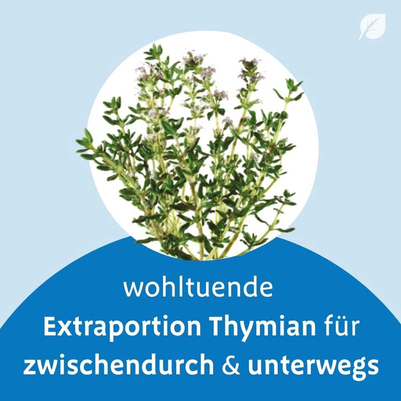 Bronchipret Thymian 30 St Pastillen