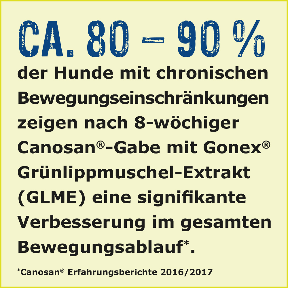 CANOSAN Kautabletten bei Gelenkproblemen Hund mit Grünlippmuschel-Extrakt Gonex 30 St Kautabletten