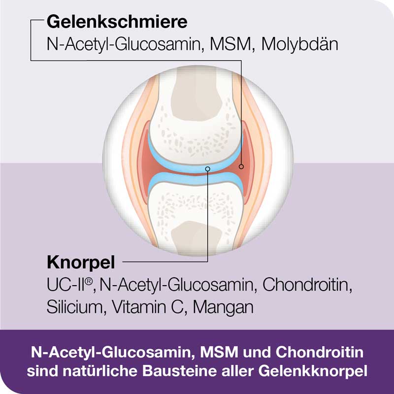 flexiLoges Knorpel aktiv 240 St Kapseln