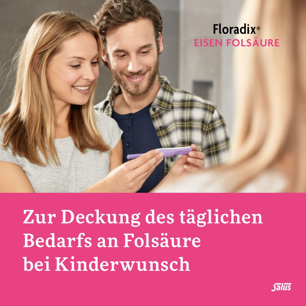 Floradix Eisen Folsäure 84 St Tabletten