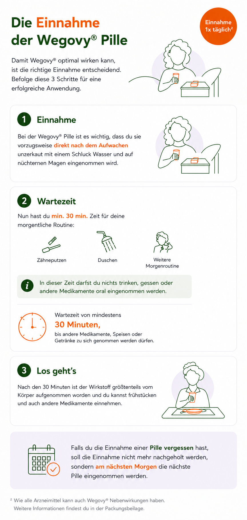 Grafik zur richtigen Einnahme der Wegovy Tablette: morgens nüchtern einnehmen und anschließend 30 Minuten bis zum Essen, Trinken oder der Einnahme anderer Medikamente warten.