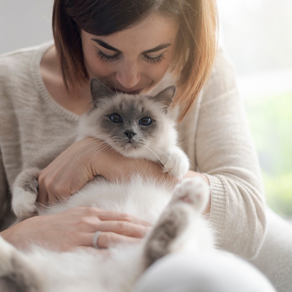 Cetirizin 10 -1 A Pharma 100 St Filmtabletten