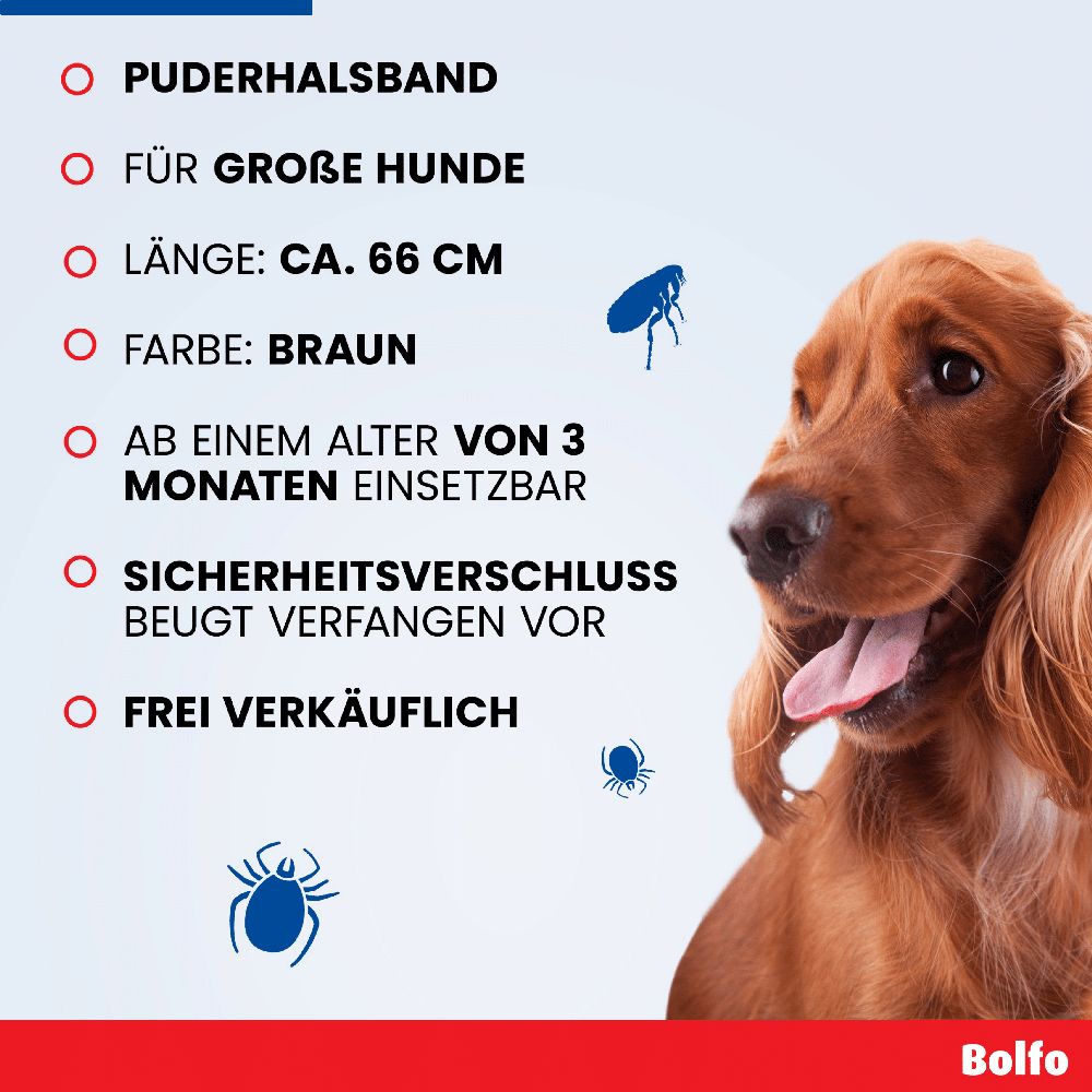 BOLFO HB GR. 1 St Halsband