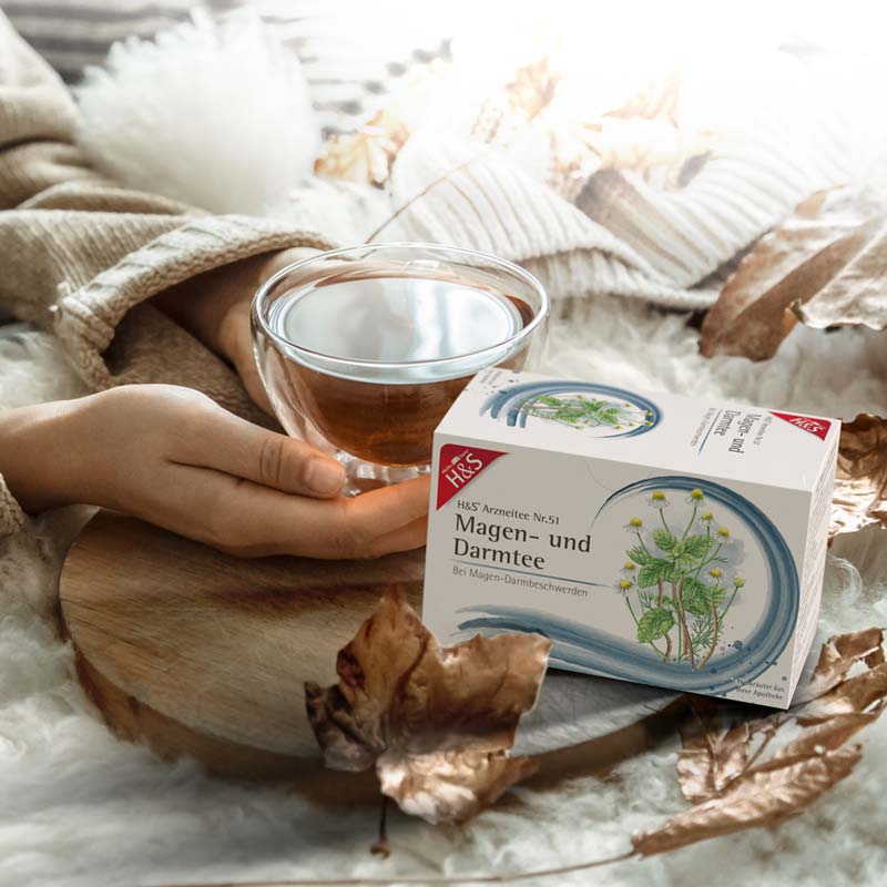 H&S Arzneitee Magen- und Darmtee 20X2.0 g Filterbeutel