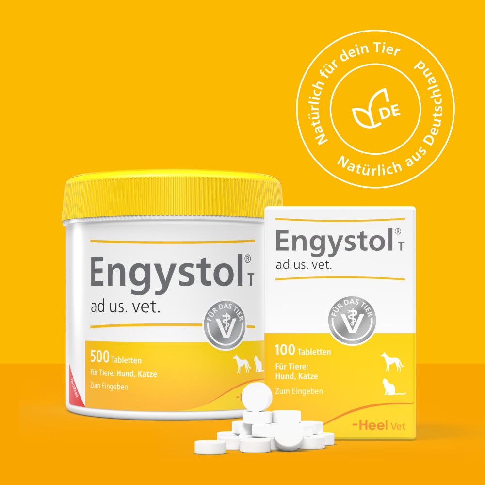 Engystol T ad us. vet. 500 St Tabletten