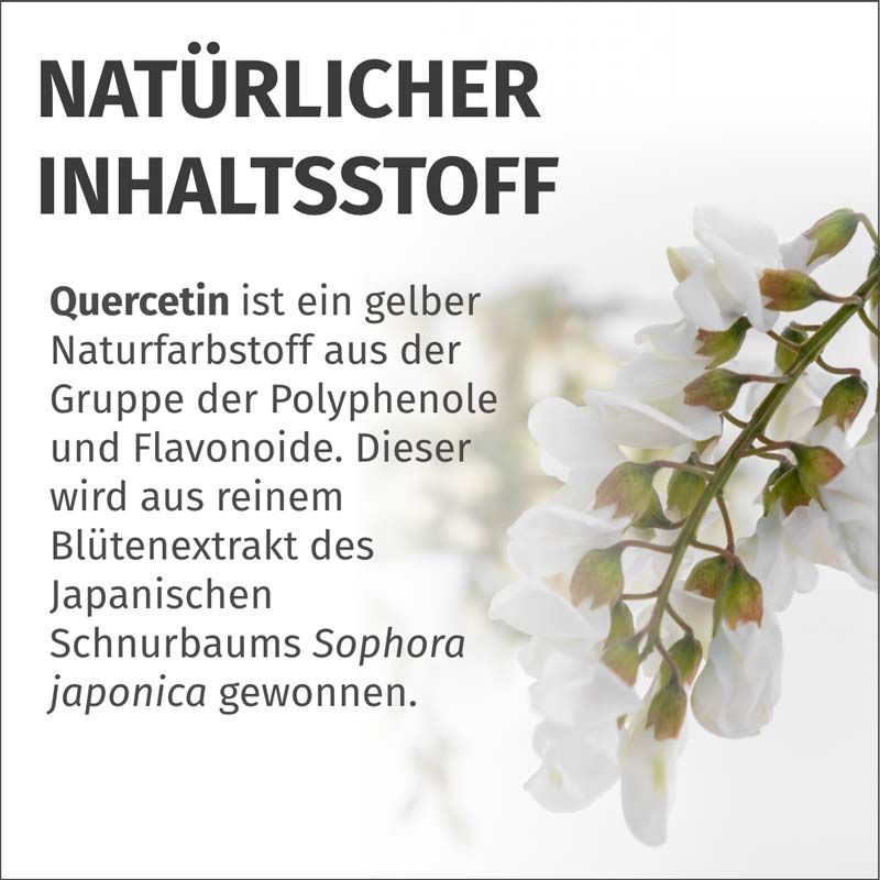 GREEN NATURALS Quercetin 500 mg hochdosiert vegan 180 St Kapseln