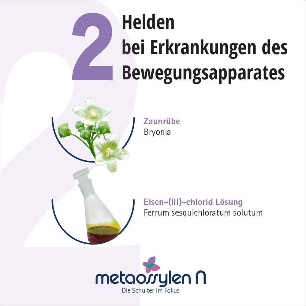 METAOSSYLEN N Tropfen zum Einnehmen 50 ml Mischung