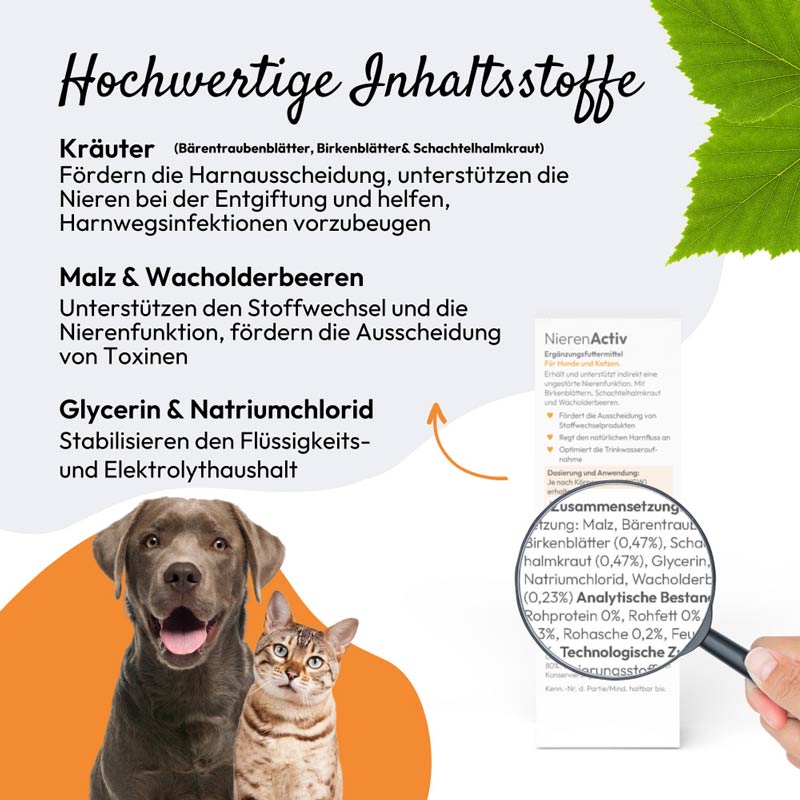 PHA NierenActiv Tropfen für Hunde und Katzen 30 ml Tropfen