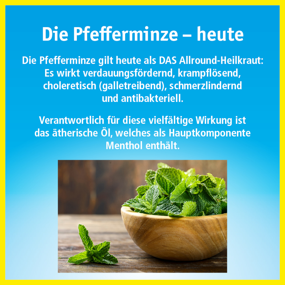 China-Öl 10 ml Ätherisches Öl