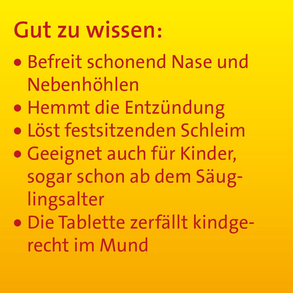 SINUSITIS HEVERT - Bei Schnupfen und Entzündungen der Nasennebenhöhlen 300 St Tabletten