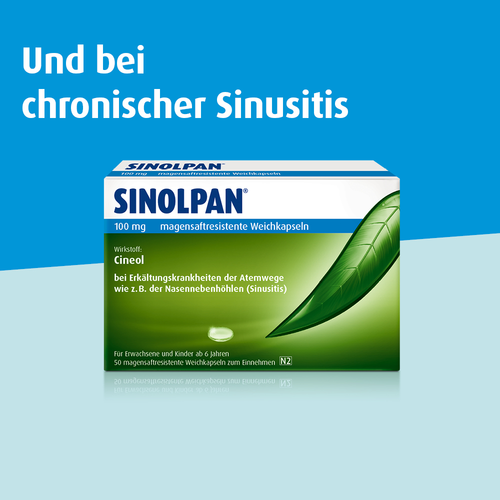 SINOLPAN FORTE 200 mg 50 St Magensaftresistente Weichkapseln