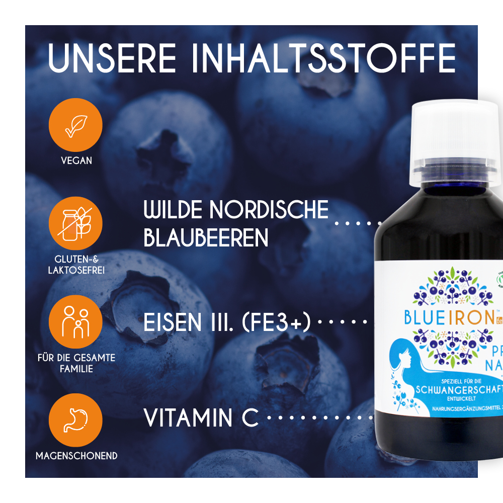 BLUE IRON EISEN PREGNANCY 250 ml Flüssigkeit zum Einnehmen