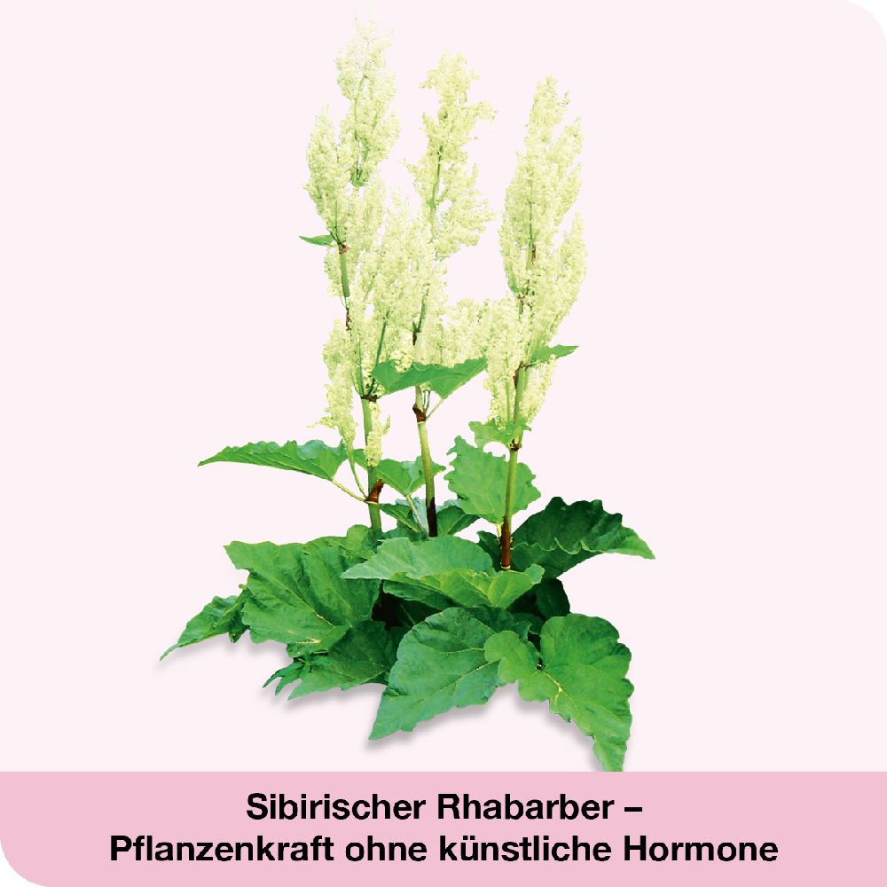 femiLoges Doppelpack Bei Wechseljahresbeschwerden 2X90 St Tabletten magensaftresistent