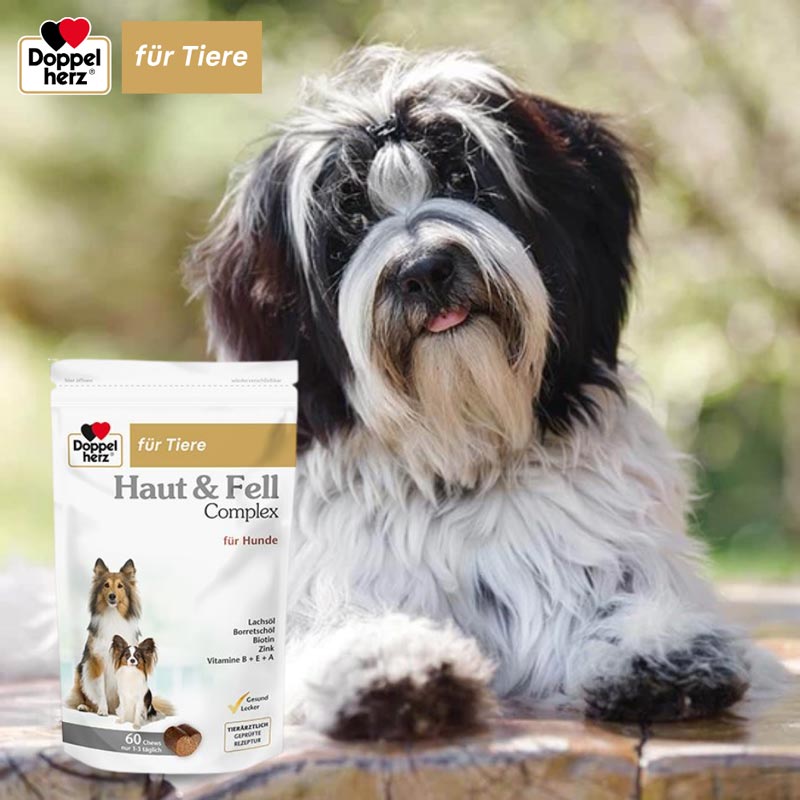 Doppelherz Haut & Fell Complex für Hunde 60 St Kautabletten
