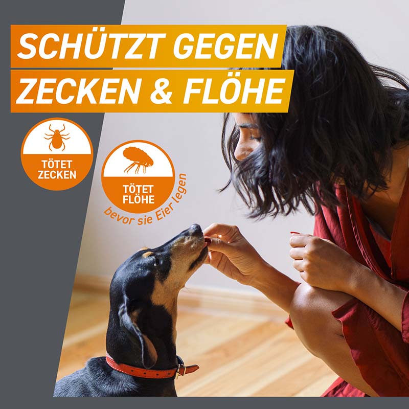FRONTPRO HUNDE Kautablette 3 St. gegen Zecken und Flöhe für Hunde (2-4kg)