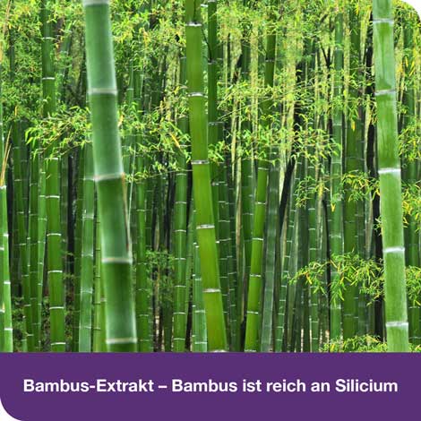 flexiLoges Knorpel aktiv 120 St Kapseln