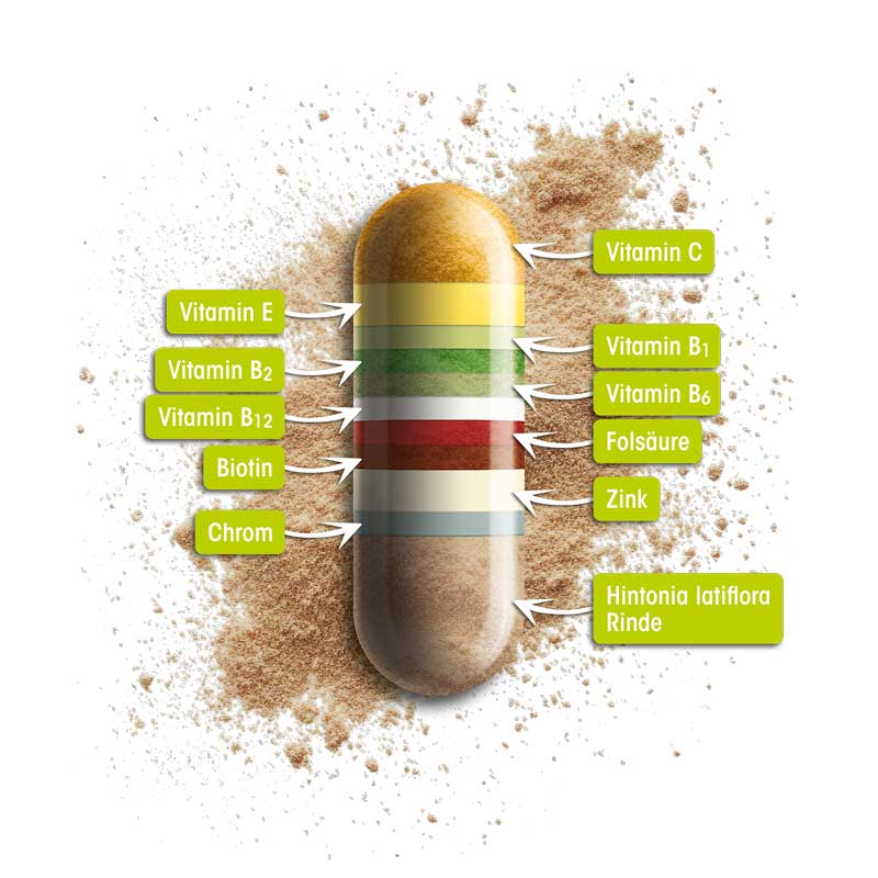 Sucontral N 60 St Kapseln