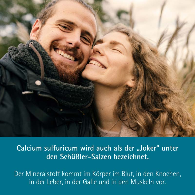 Schüßler-Salz Nr. 12 Calcium sulfuricum D6 250 g Pulver
