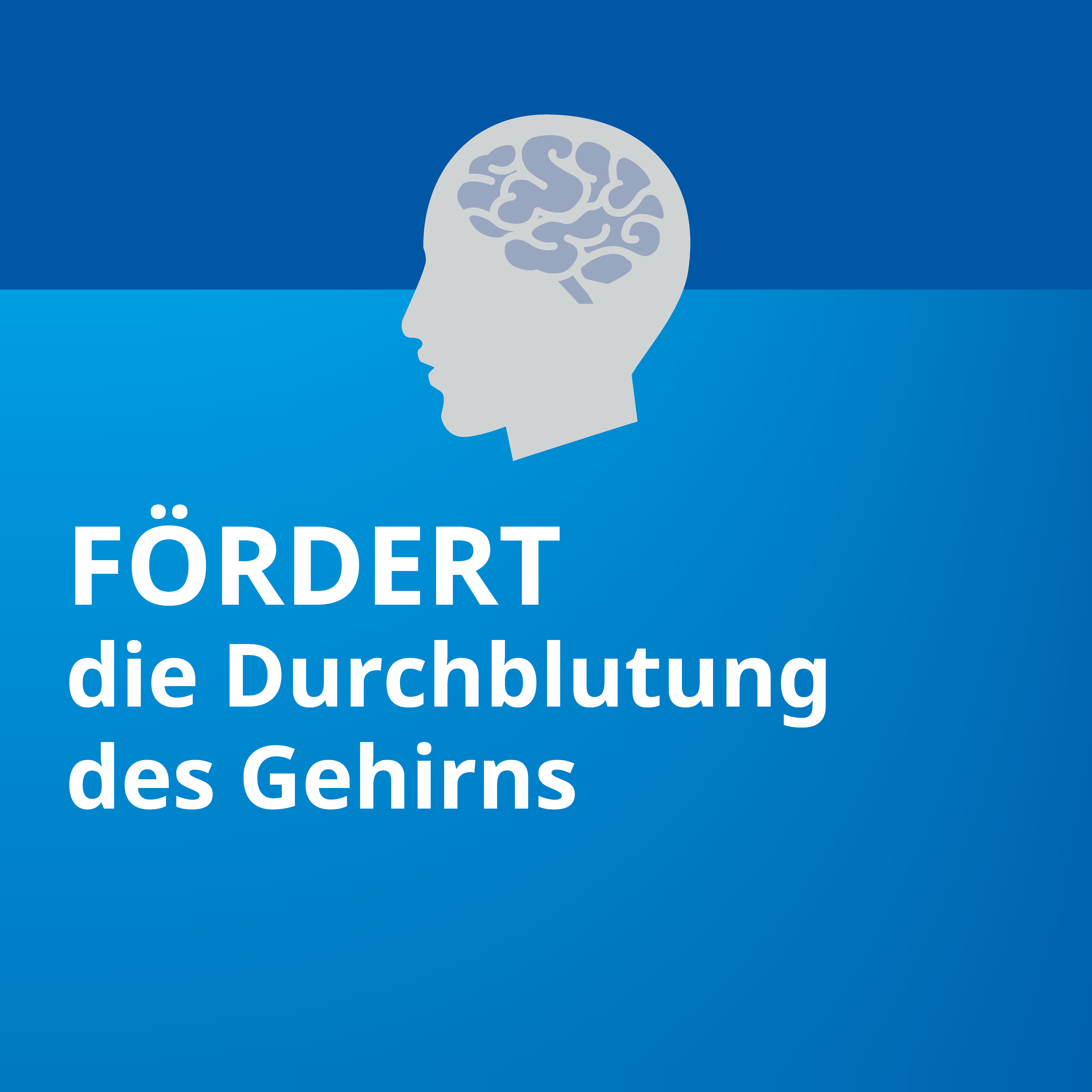 Ginkgo STADA 120mg 30 St Filmtabletten