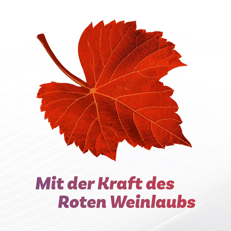 Antistax Venencreme 50 g Creme