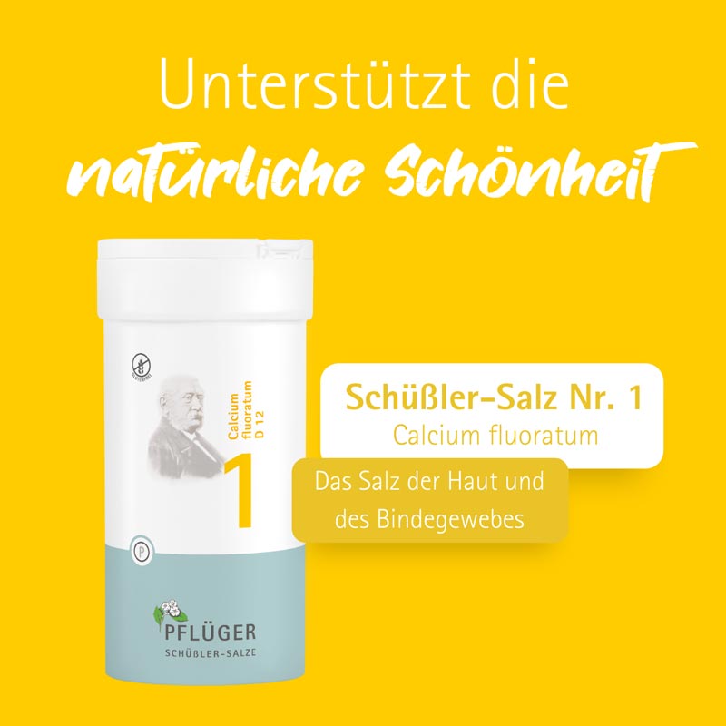 Schüßler-Salz Nr. 1 Calcium fluoratum D12 400 St Tabletten