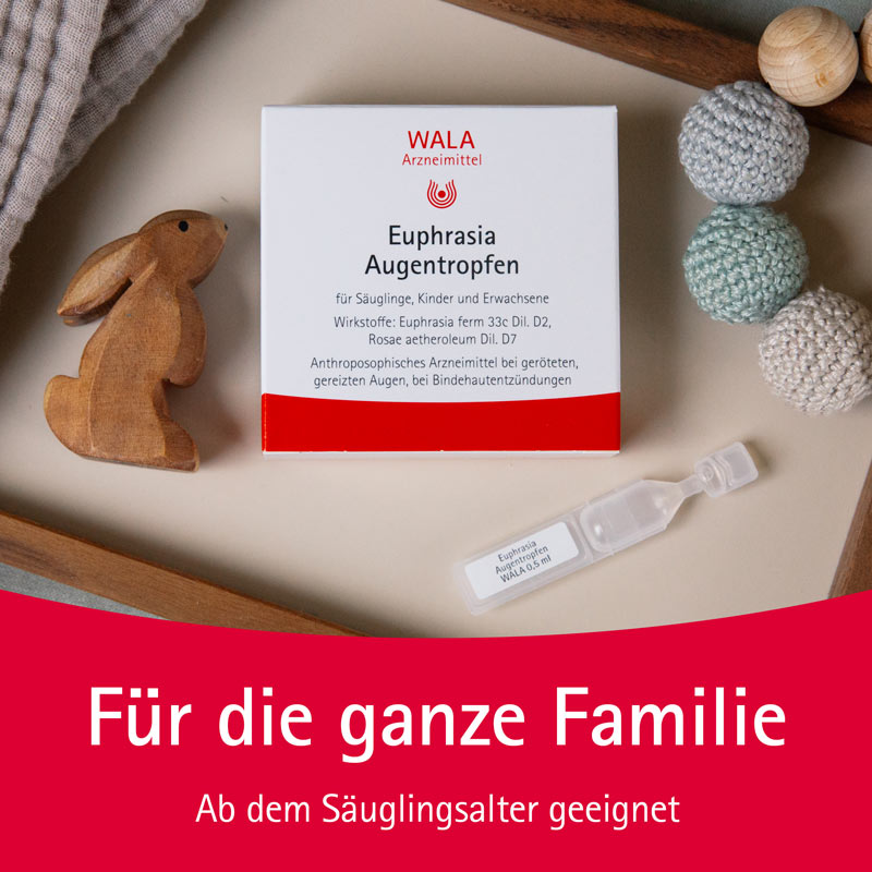 WALA Euphrasia Augentropfen 10X0.5 ml Augentropfen