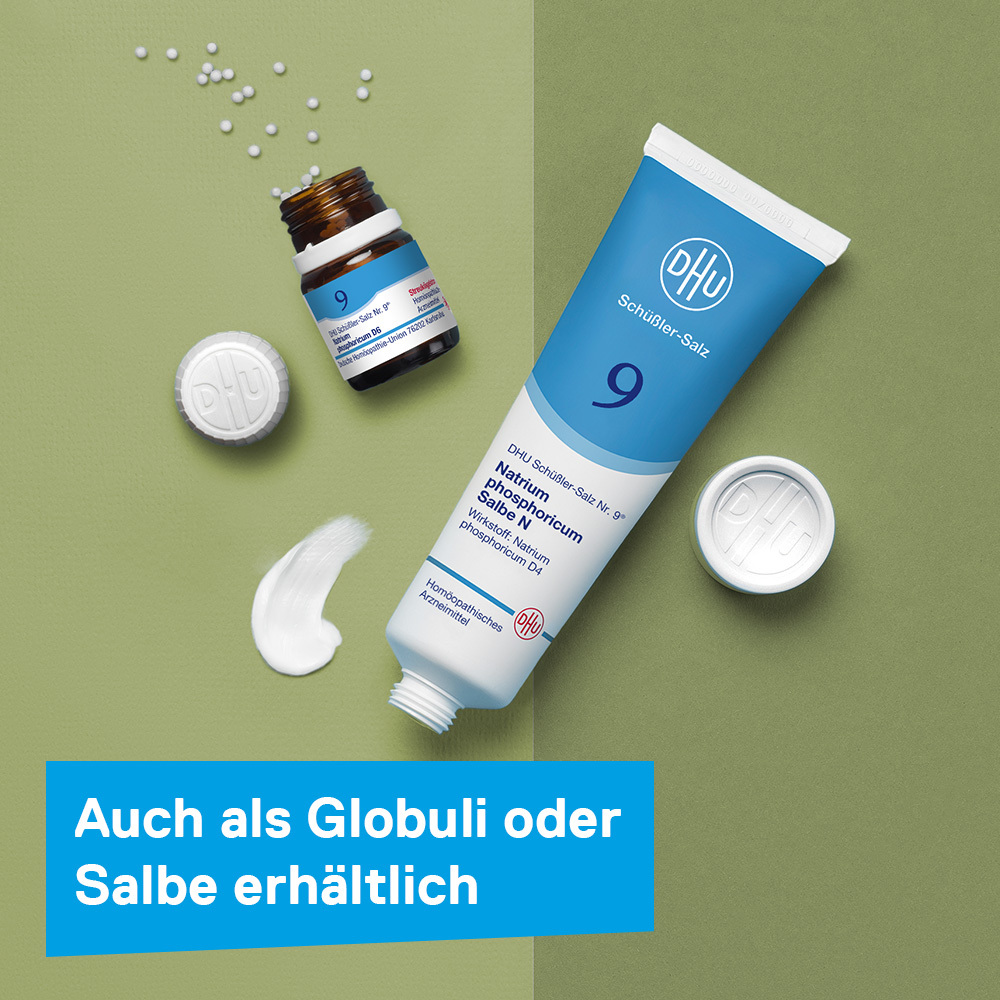 DHU Schüßler-Salz Nr. 9 Natrium phosphoricum D6 900 St Tabletten
