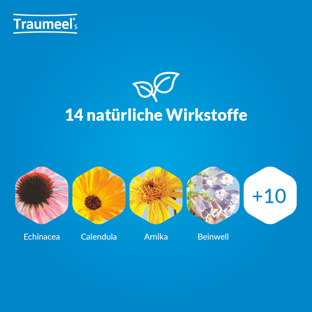 Traumeel S 100 g Creme