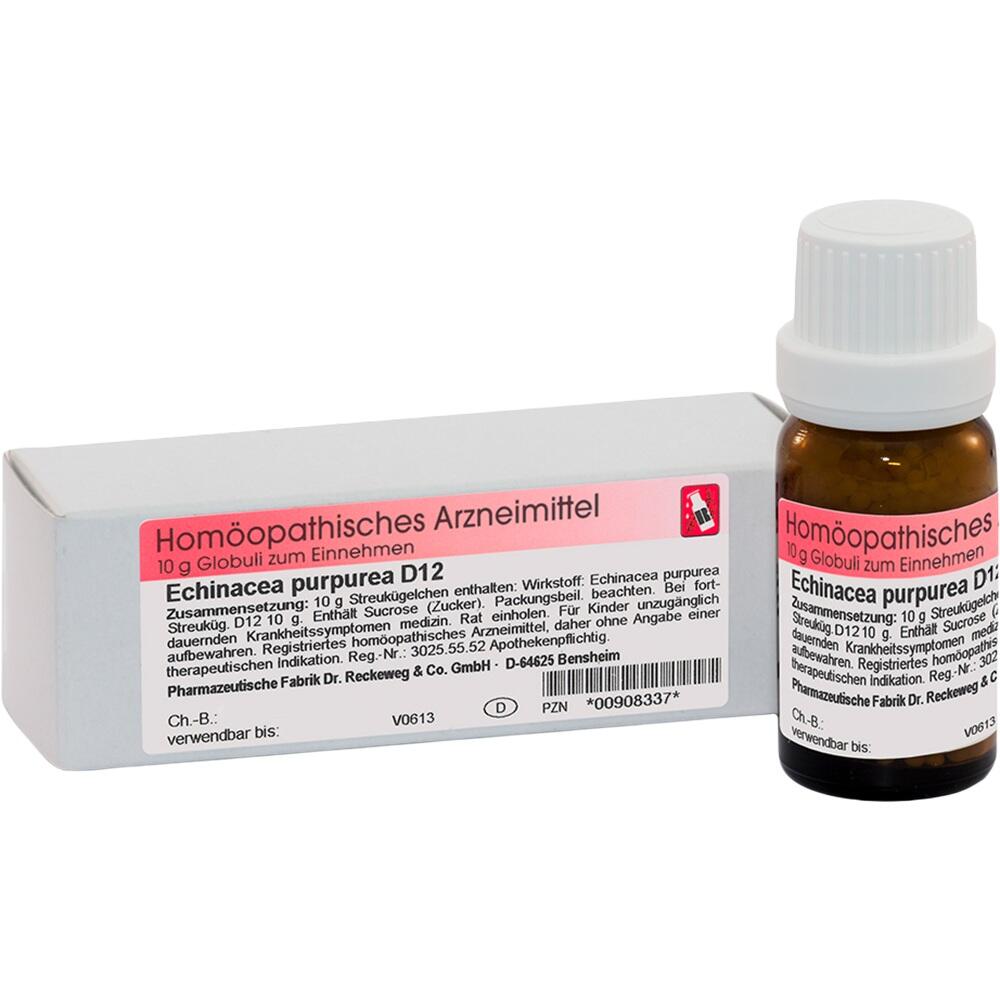 ECHINACEA PURPUREA D 12  10 g Globuli