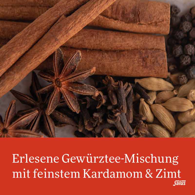 Salus Wintertee Lebkuchentraum 15 St Filterbeutel