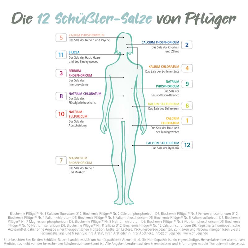 Schüßler-Salz Nr. 12 Calcium sulfuricum D6 100 g Pulver