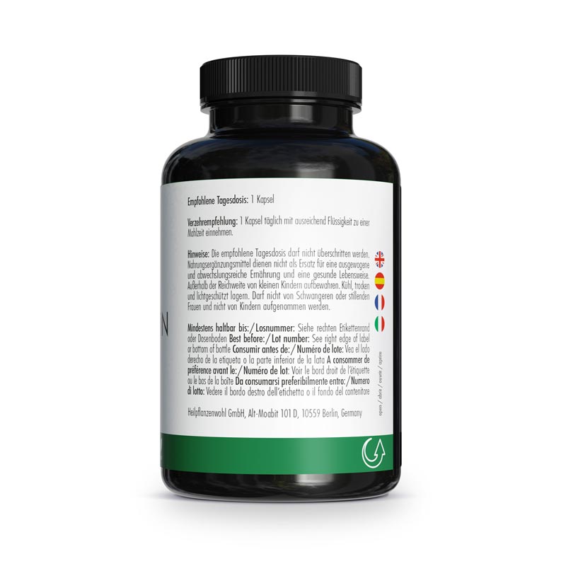 GREEN NATURALS Quercetin 500 mg hochdosiert vegan 180 St Kapseln