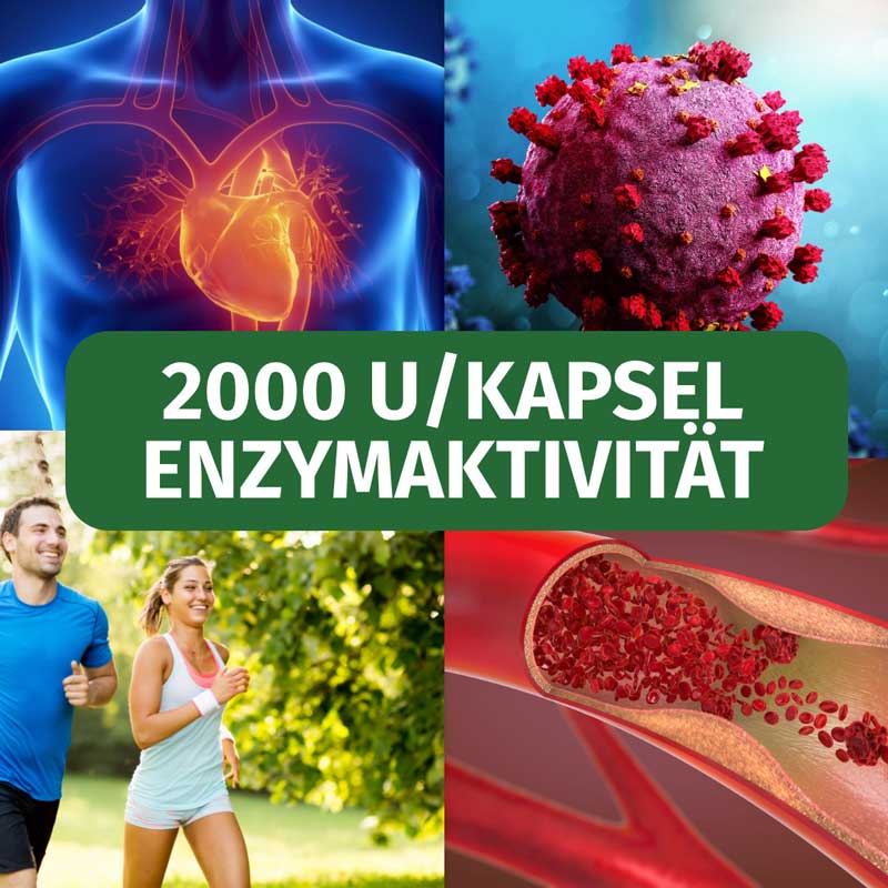 GREEN NATURALS Nattokinase 100mg  365 St Kapseln