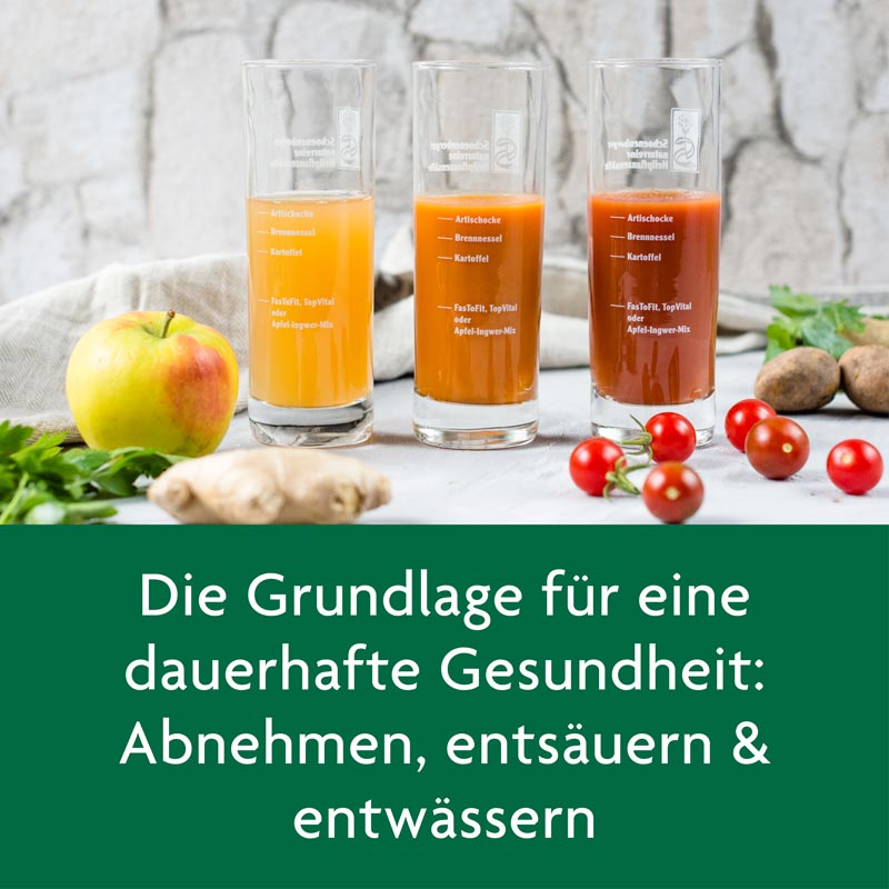 Schoenenberger SCHLANKHEITS FÜR 10 TAGE Würzige Tomate  1 Packung Saft