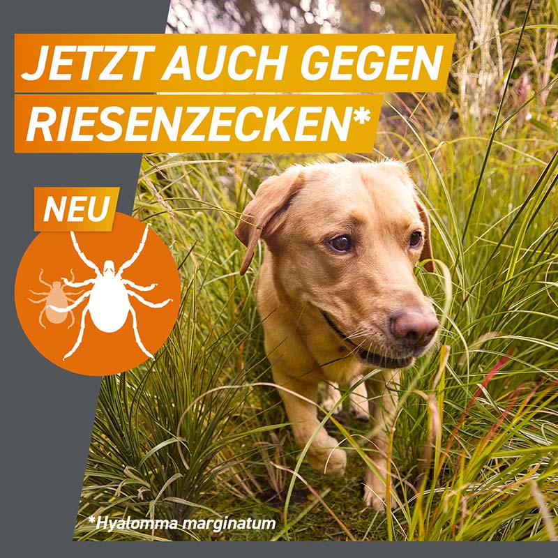 FRONTPRO - gegen Zecken und Flöhe für Hunde (>10-25kg) 3 St Kautabletten