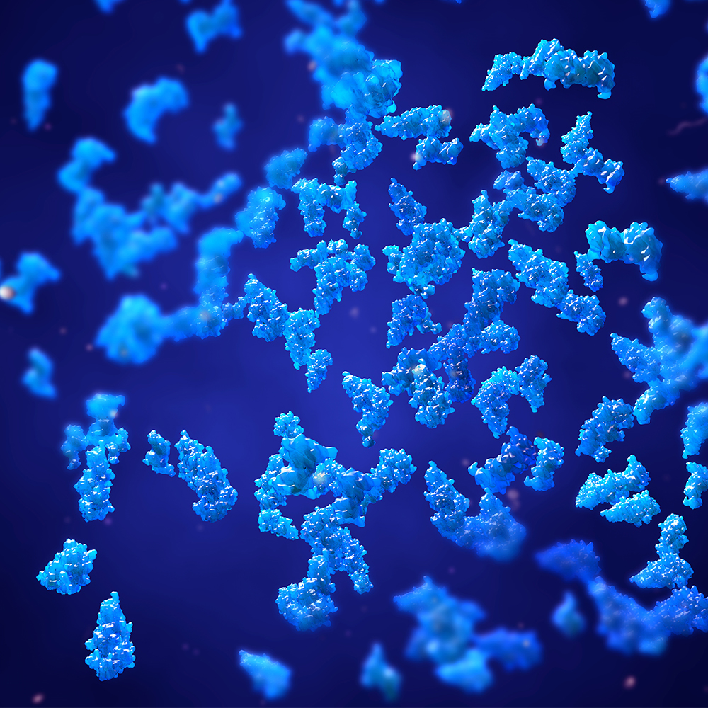 Bacillus subtilis plus Nattokinase-Enzym Vitamin K2 vegan