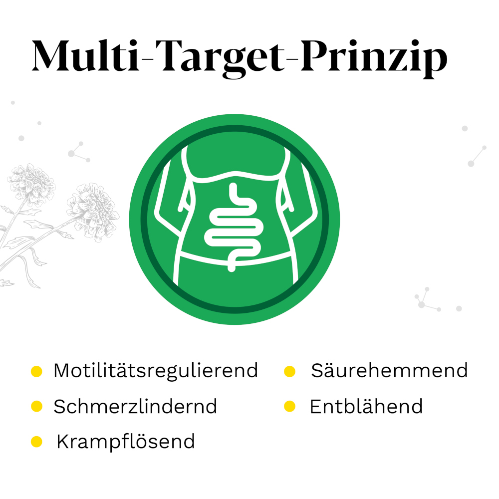 Iberogast Classic 50 ml Flüssigkeit zum Einnehmen