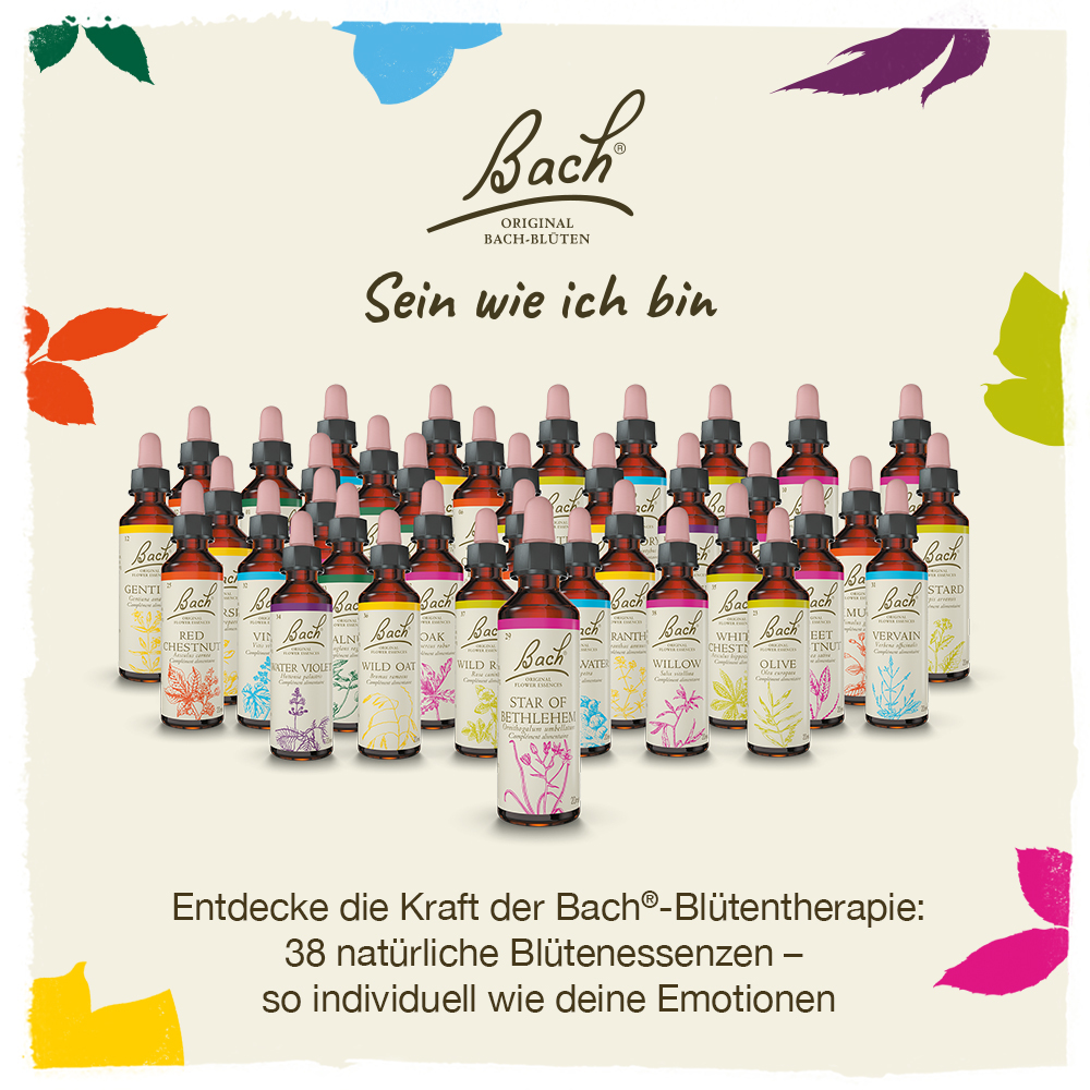 BACHBLÜTEN Original Gorse Nr. 13 20 ml Tropfen