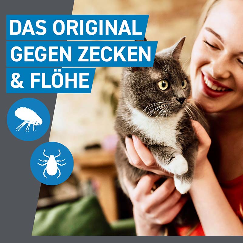 FRONTLINE SPOT-ON gegen Zecken, Flöhe und Haarlinge für Katzen 3 St Lösung