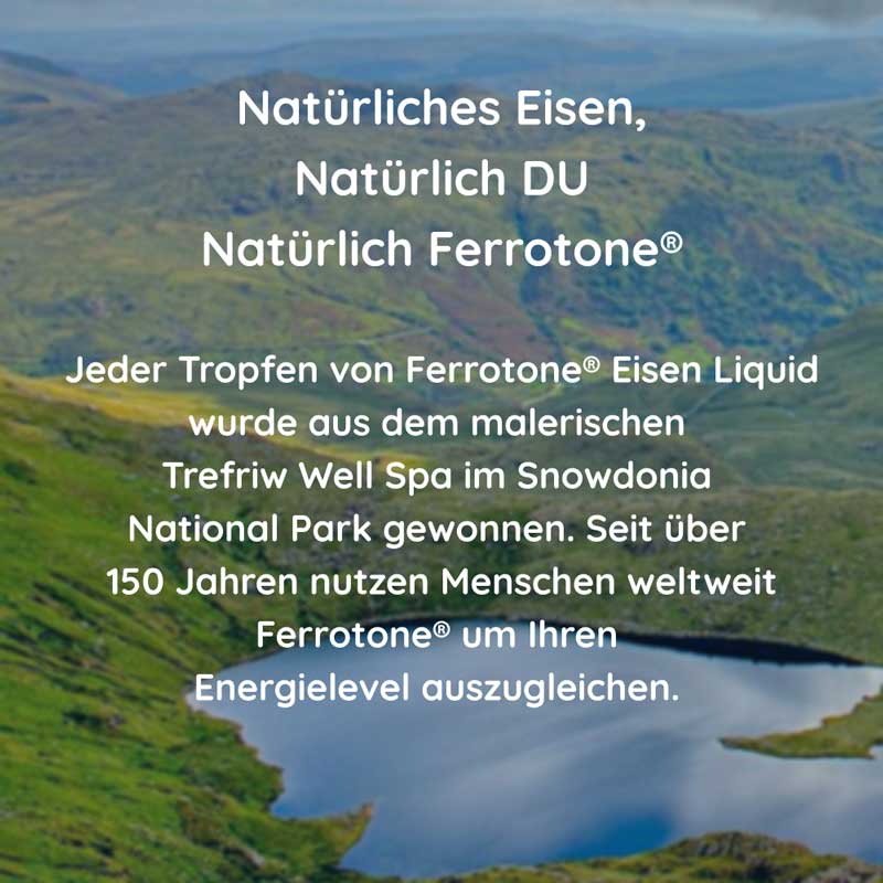 ferrotone - natürliches Eisen mit Vitamin C, Apfelgeschmack 14X25 ml Beutel